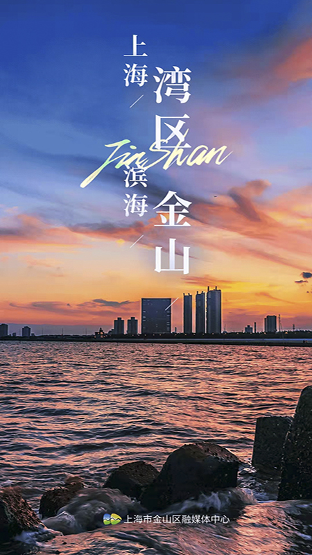 上海金山软件封面
