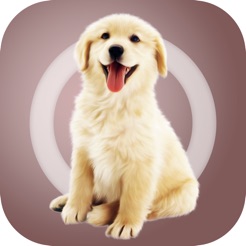人狗交流器-狗语翻译器ios v1.0.1 iPhone版