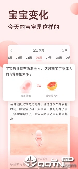 柚宝宝孕育ios软件封面