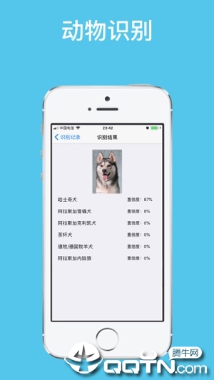 拍照识图ios软件封面