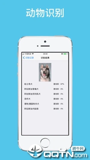 拍照识图ios软件封面