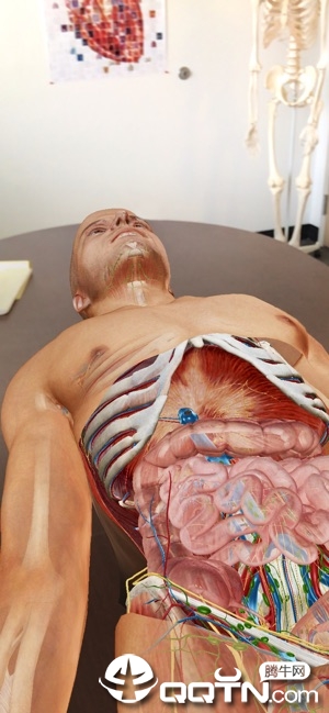 2020人体解剖学图谱软件封面