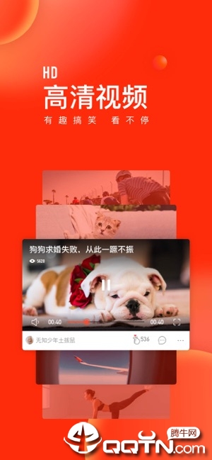 天天快报iPhone软件封面