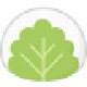 Mochi v1.0.1 电脑版