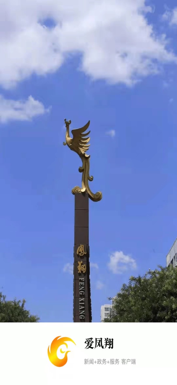爱凤翔软件封面