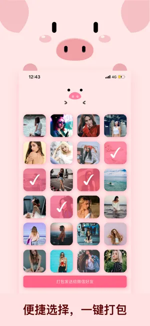 小猪快传软件封面