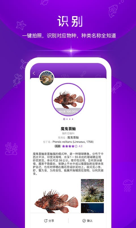 问鱼软件封面