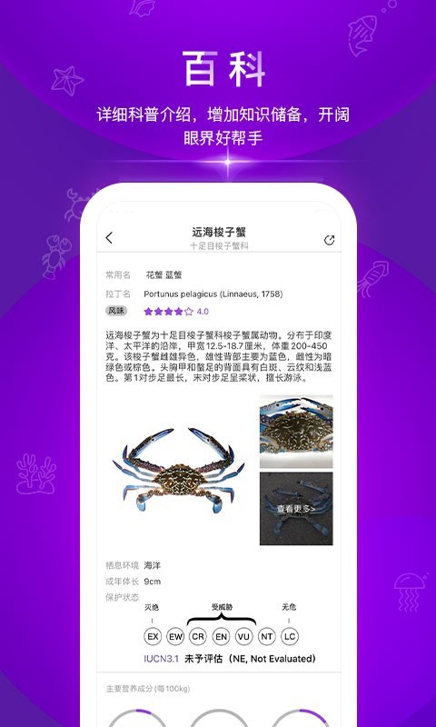 问鱼软件封面