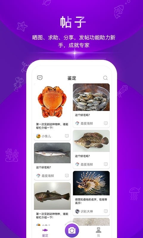 问鱼软件封面