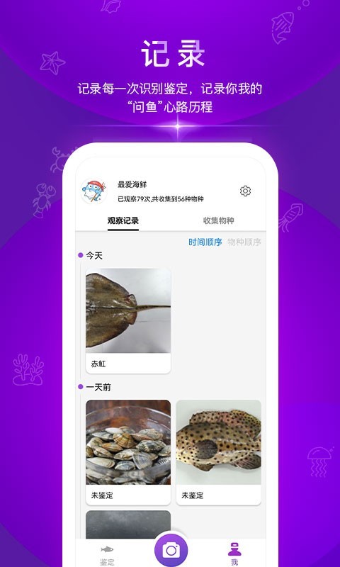 问鱼软件封面