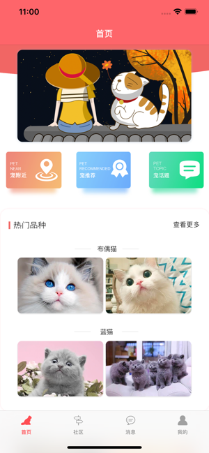 亲爱的猫咪软件封面