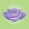 多肉模拟器中文ios v1.0.1 ios版
