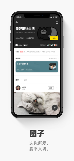 躺平ios软件封面