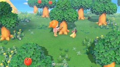 动物森友会ios软件封面