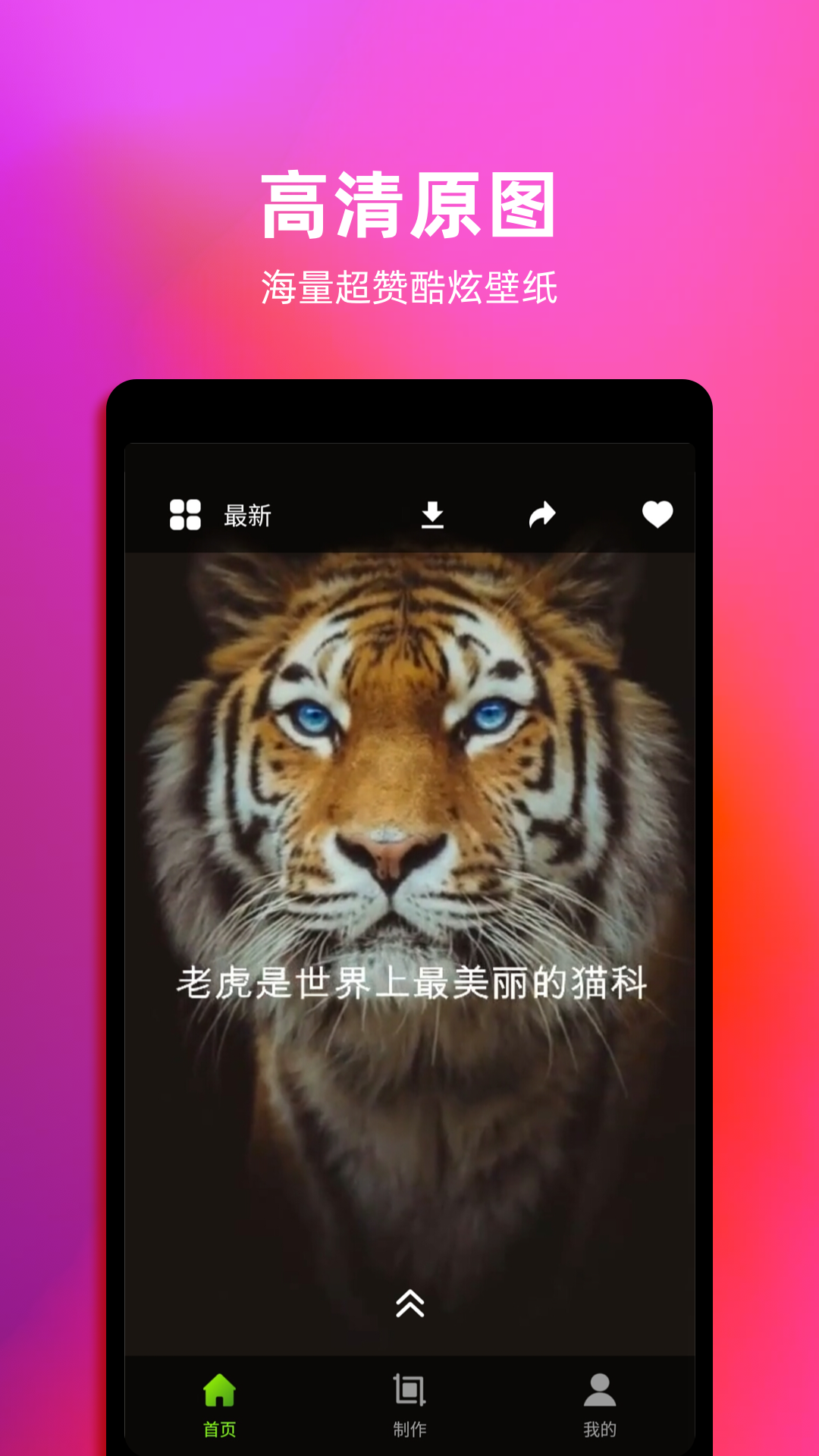 4k动态壁纸软件封面