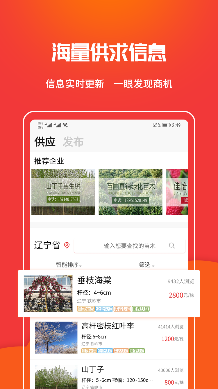 苗木网软件封面
