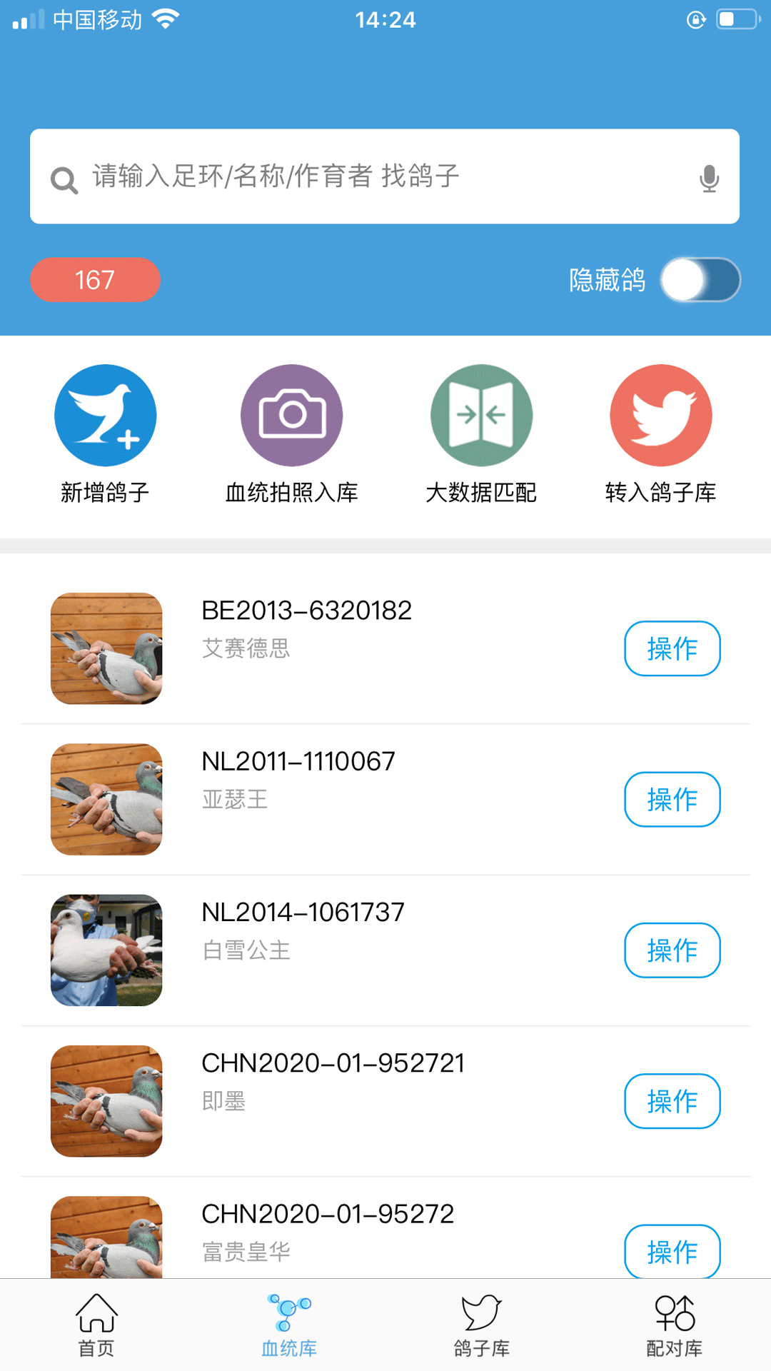 赛鸽云软件封面