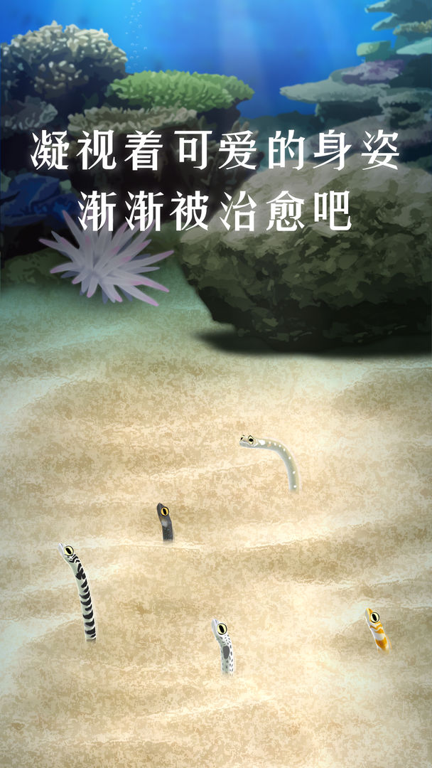 养育花园鳗的治愈游戏软件封面