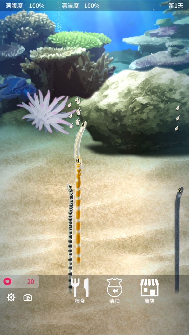 养育花园鳗的治愈游戏软件封面