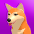 狗子护理3D v1.0.1 IOS版