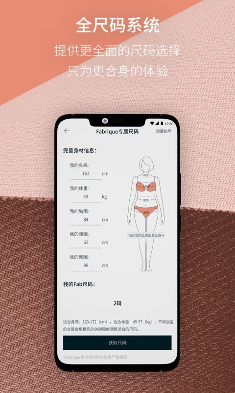 Fabrique软件封面