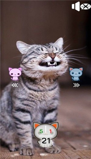 你是合格的猫奴吗软件封面