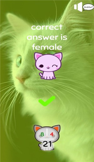 你是合格的猫奴吗软件封面