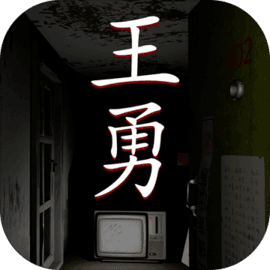 孙美琪疑案:王勇