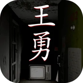 孙美琪疑案:王勇