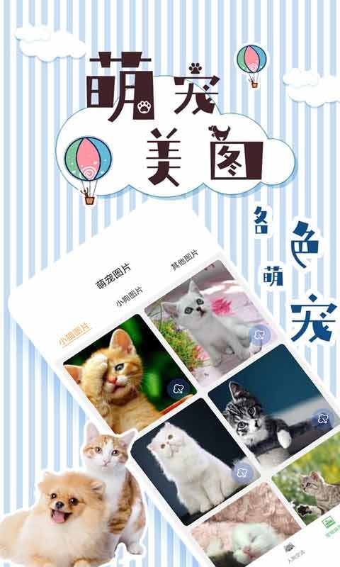 人猫翻译交流器软件封面