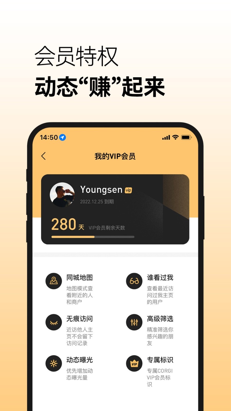 Corgi软件封面