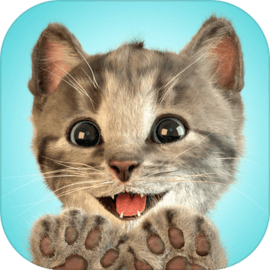 LittleKitten小猫-我最喜欢的猫 v1.0.1 官方