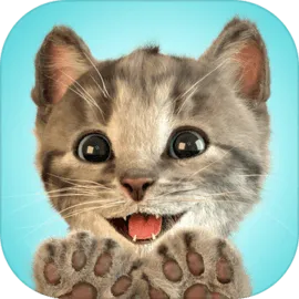 LittleKitten小猫-我最喜欢的猫