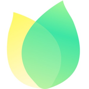 飞火动态壁纸 v1.0.1 电脑版