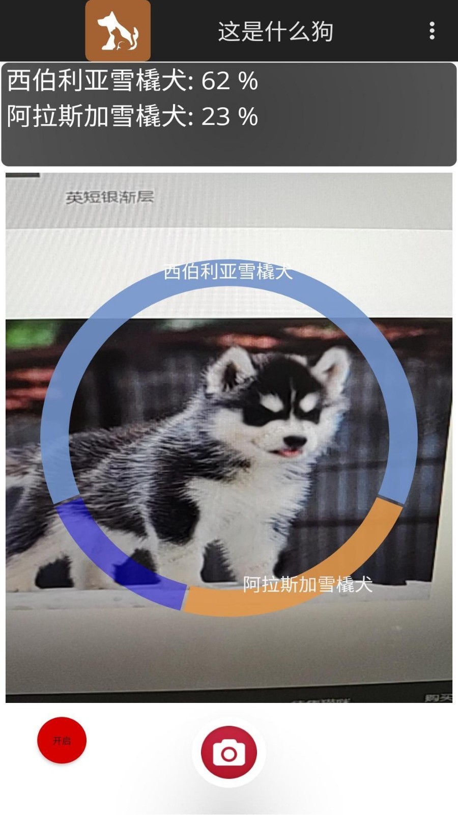 这是什么狗第1张手机截图