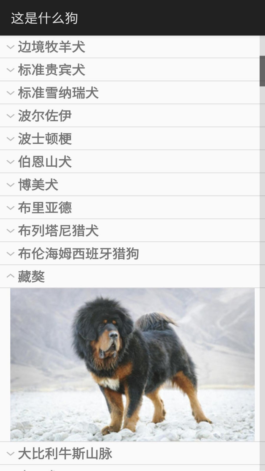 这是什么狗第2张手机截图
