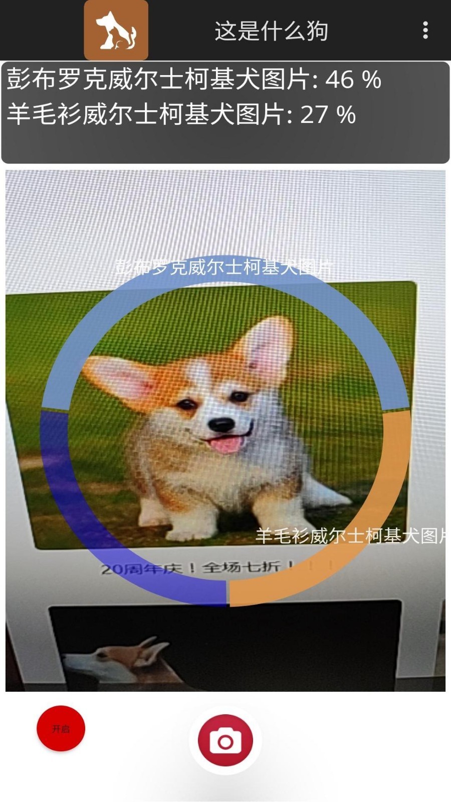 这是什么狗第3张手机截图