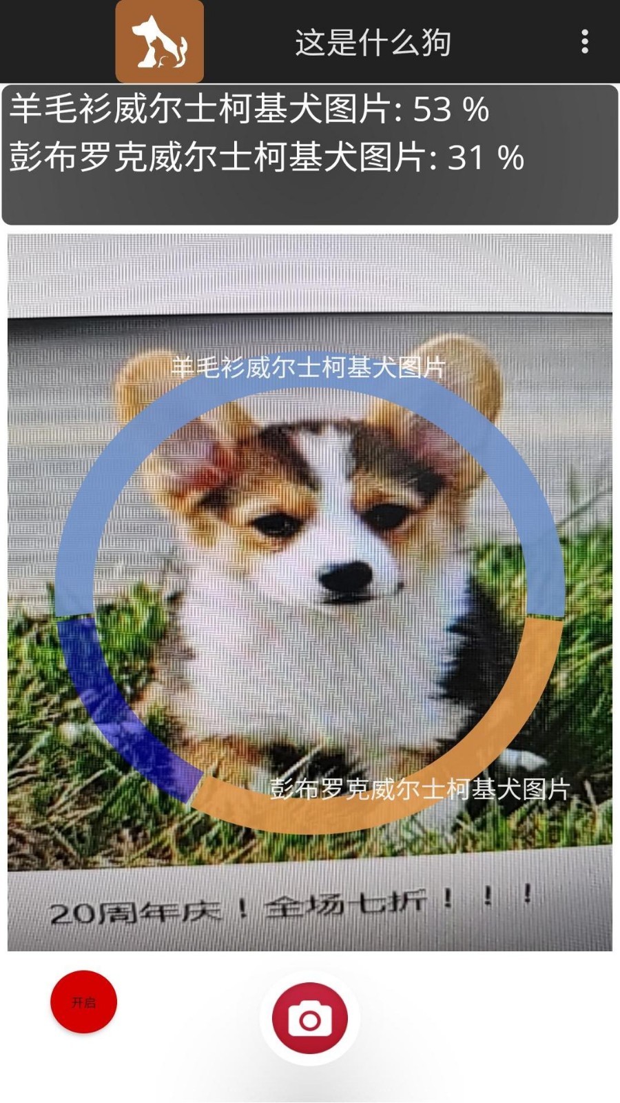这是什么狗第4张手机截图