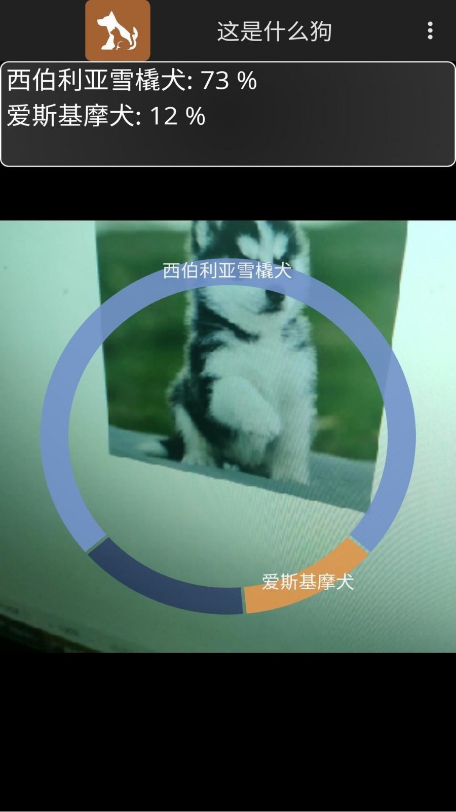 这是什么狗第5张手机截图