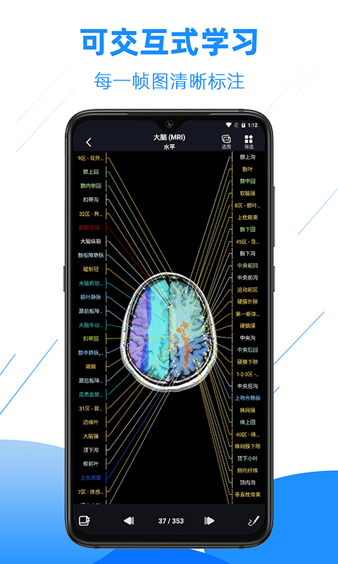 影像解剖图谱软件封面