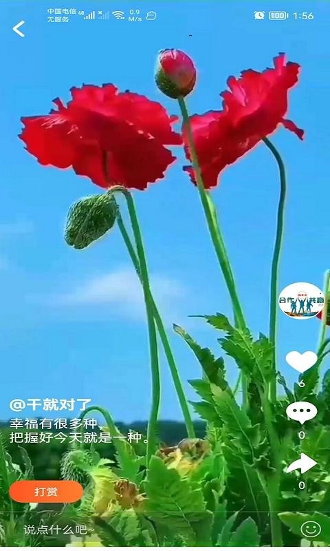 蹦多多软件封面