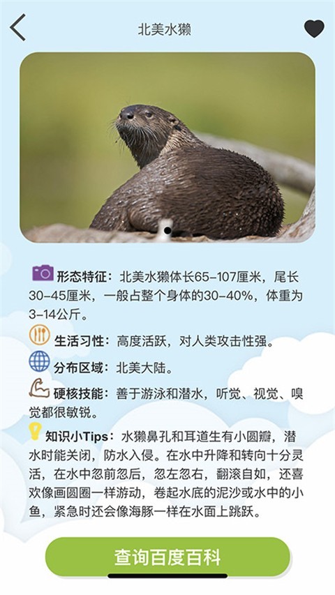 Volnau软件封面