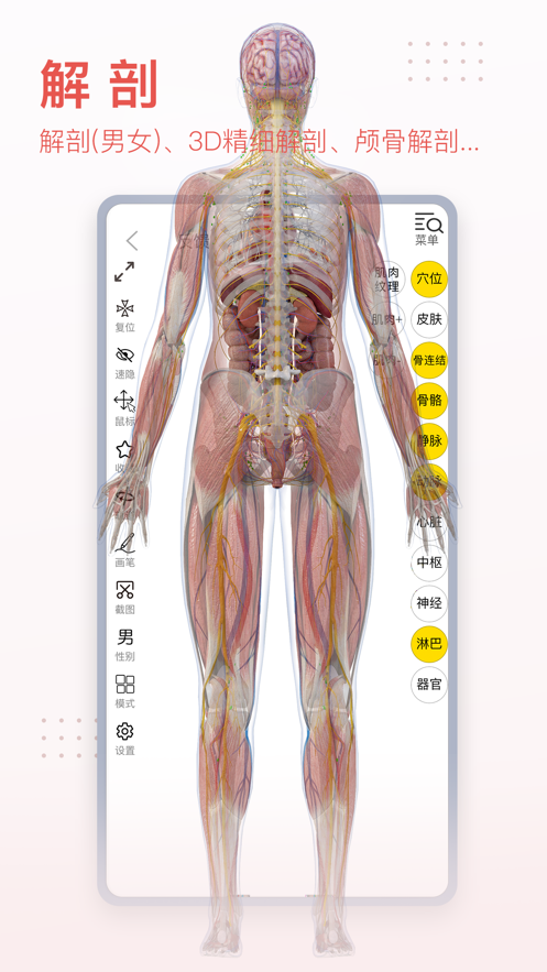 3Dbody解剖学软件封面