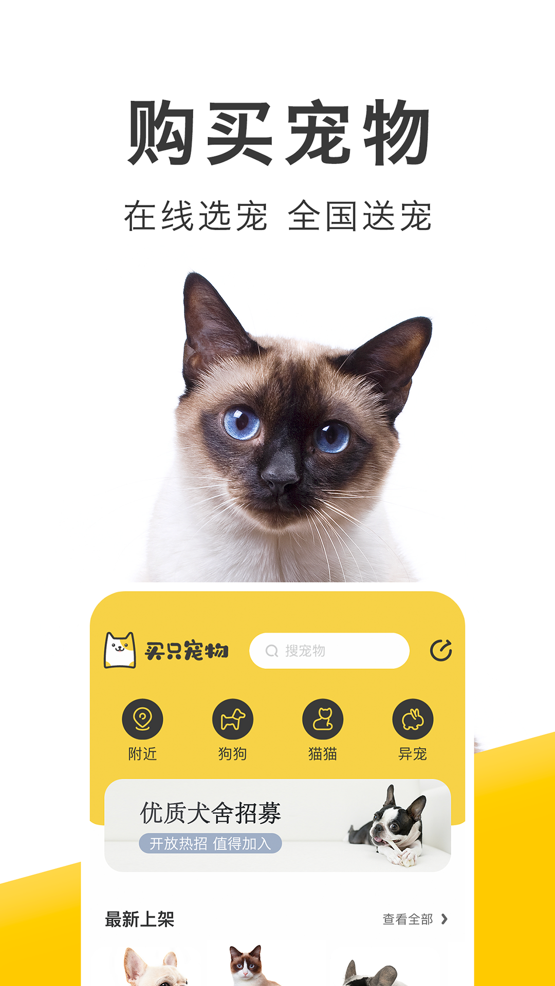 买只宠物软件封面