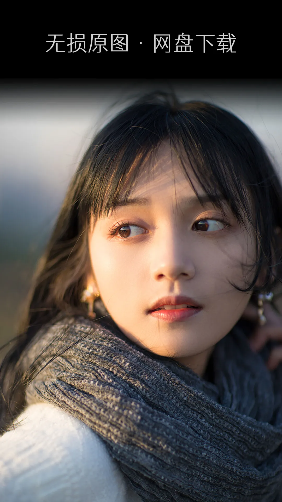 艺图语软件封面