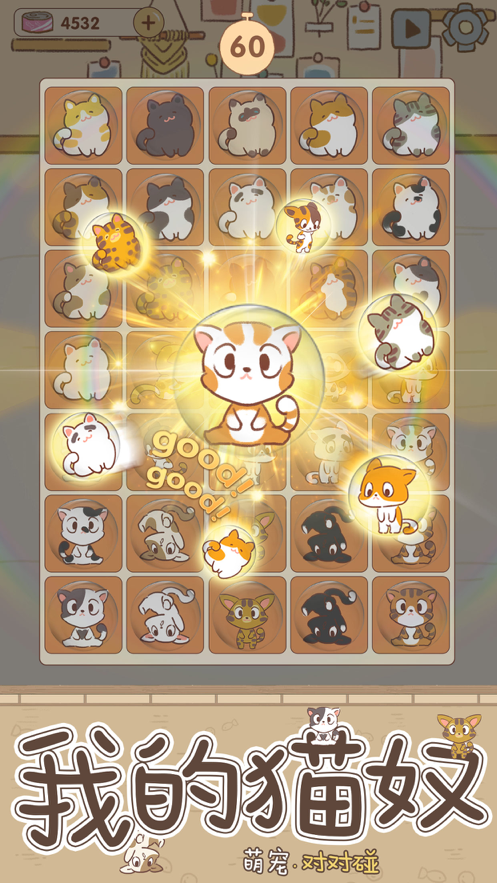 猫咪后院iOS安装软件封面