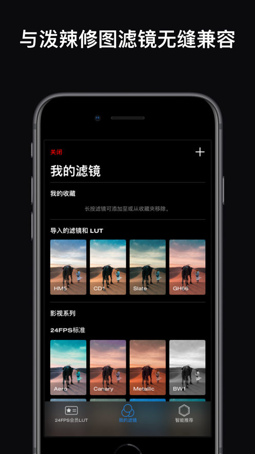 泼辣24ios软件封面