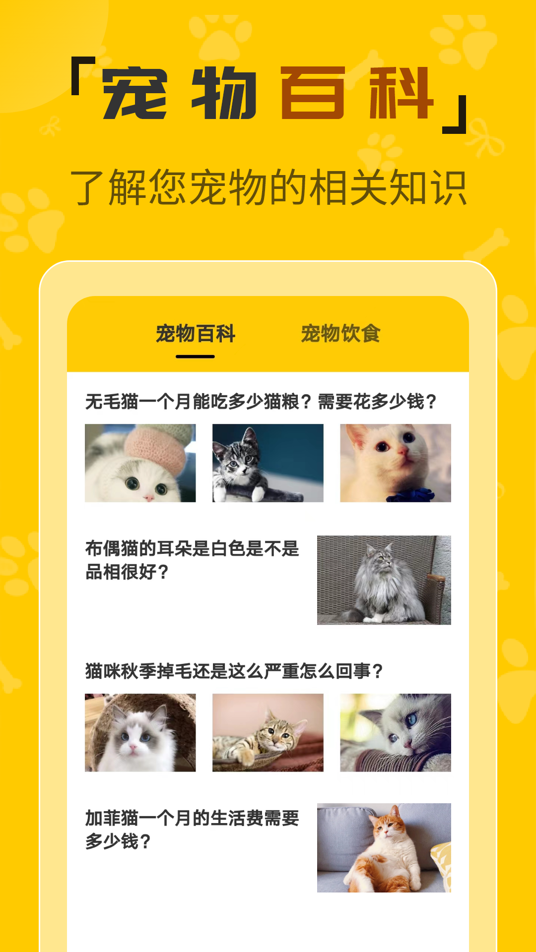 人猫翻译机软件封面