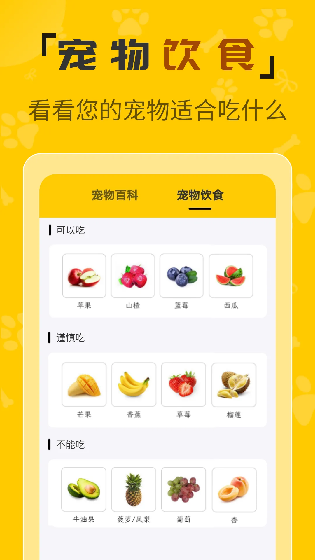 人猫翻译机软件封面