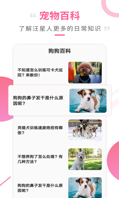 狗语翻译工具软件封面